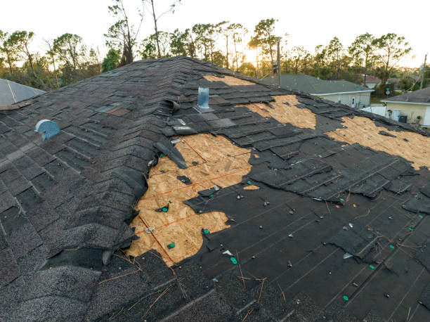 Best Solar Panel Roofing Installation  in Pecan Plantation, TX