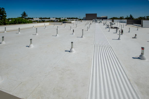 Best Green or Eco-Friendly Roofing Solutions  in Pecan Plantation, TX
